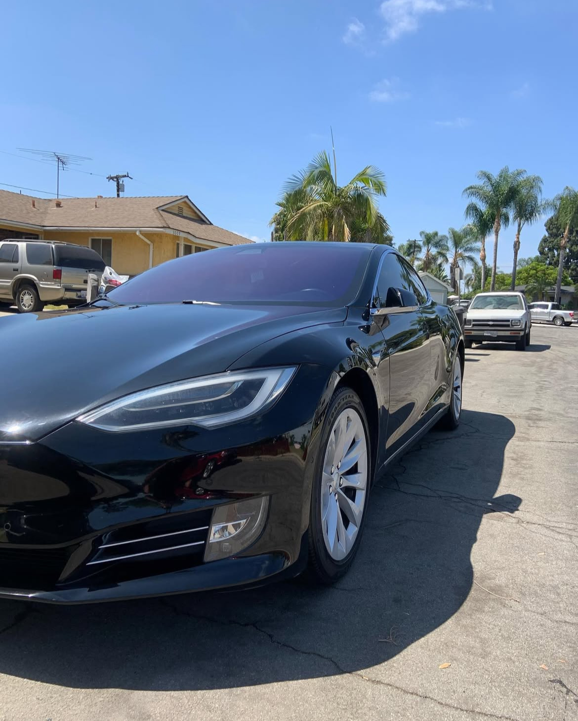 Professionally detailed black Tesla